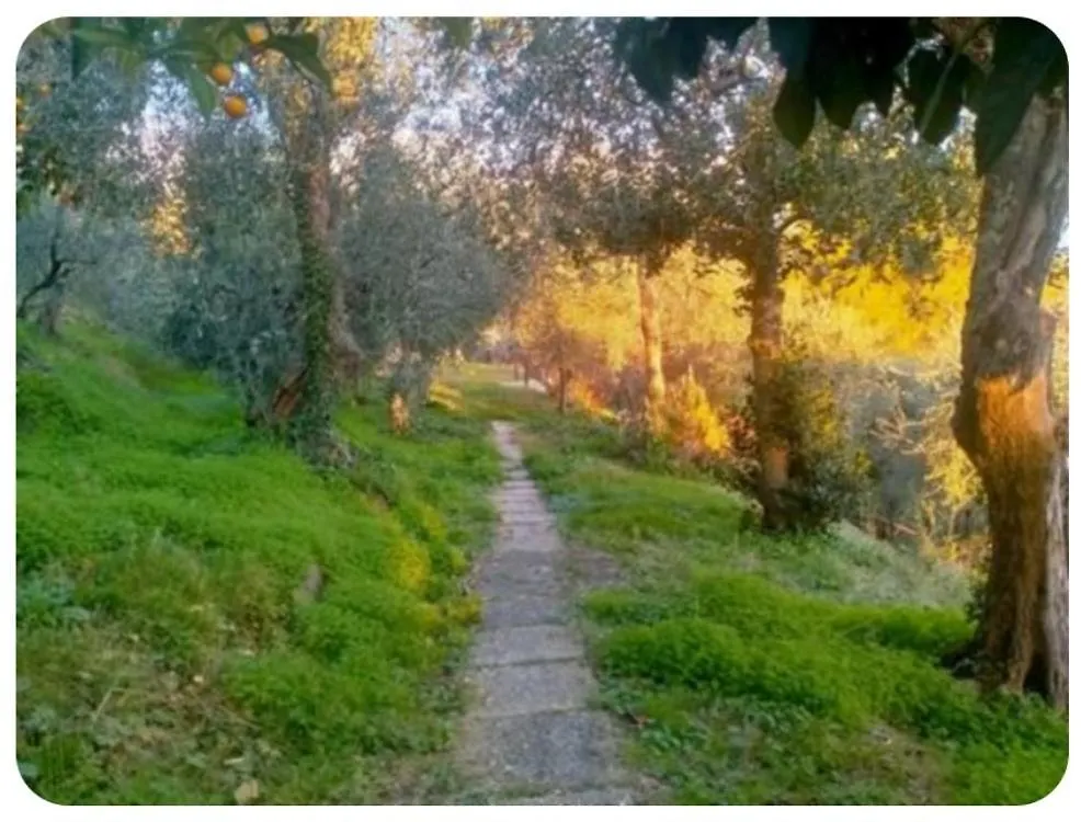Villa Panoramica Sara E Chiara Santa Lucia