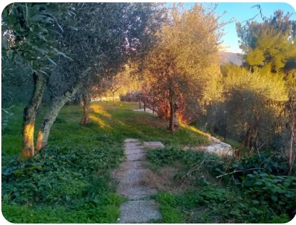Villa Panoramica Sara E Chiara Santa Lucia